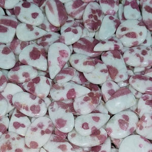 Tinta oiraline, - Product Image 1