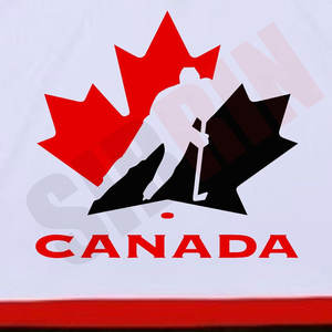 Vente en gros de chandail de hockey d'Équipe Canada professionnel de qualité supérieure personnalisé avec nom et numéro personnalisés chandail de hockey canadien pour adultes/jeunes/enfants - Product Image 6