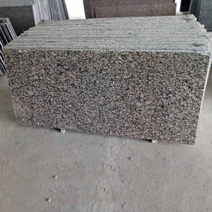 Thiết kế sang trọng Rue Tấm Đá Granite cổ điển tùy chỉnh cắt gạch cho cầu thang phòng tắm bàn nóng bán Ấn Độ phòng khách nhà bếp - Product Image 3