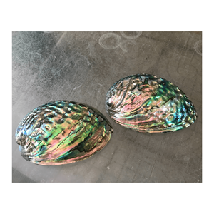 Venta al por mayor de alta calidad Natural pulido concha de abulón cristal artesanía Concha perla Concha decoración del hogar - Product Image 6