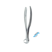 Forceps d'extraction de dents à motif anglais en acier inoxydable de haute qualité Fig. 86