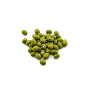 High quality Wholesale Natural Bulk Big Mung Beans from Uzbekistan Non-GMO Mash Beans Mung for food