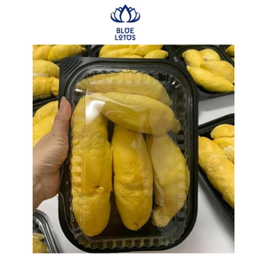 Prix compétitif de la crème glacée du Vietnam - Product Image 3