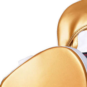 Golden-White-Color Nouvelles mitaines de frappe Offre Spéciale Kickboxing Thai Boxing Pads Training Focus Punch Mitts - Product Image 4