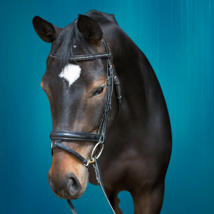 High Quality Diamante <b>Chain</b> Horse Bridle <b>Top</b> Wholesale Leather Product - Product Image 2