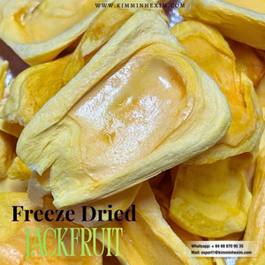 Fournisseur de jackfruit lyophilisé directement de l'usine du Vietnam – Approvisionnement en gros - Product Image 3