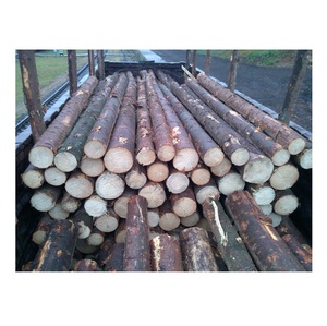 Bûches rondes en bois d'épicéa pour la fabrication de meubles-Qualité supérieure, prix compétitif - Product Image 4