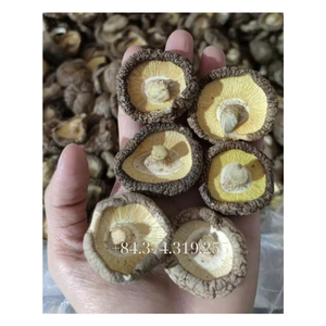 PRODUCTO POPULAR: HONGOS SHIITAKE SECOS DE VIETNAM, ALIMENTO SALUDABLE - Product Image 5