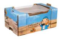 Boîte à fruits en carton ondulé ventilée compostable, matériau recyclable, emballage de fruits frais, utilisation en stand de marché, supermarché