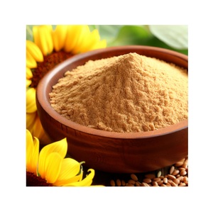 Poudre de lécithine de tournesol à forte demande pour suppléments préparations pour nourrissons et substituts laitiers pour l'exportation depuis l'Inde - Product Image 1