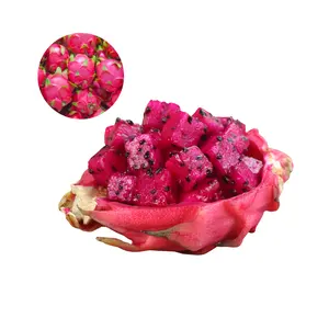 FROZEN DRAGON FRUIT WITH BEST PRICES AND PREMIUM QUALITY FROM VIET NAM - BEST SELLER IN THIS MONTH