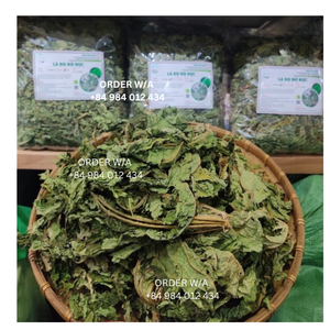 Obtenga los mejores precios en hojas de papaya Carica al por mayor Compre té de hojas de papaya secas a precios con descuento Estándar del mercado del Reino Unido - Product Image 3