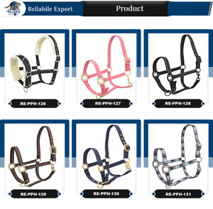 Halter d'équitation de selle western en nylon de haute qualité Best Value PP Halter - Product Image 5