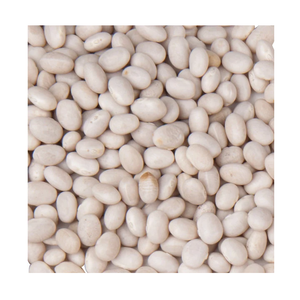 Haricots blancs biologiques séchés en gros du Canada – Prix des haricots blancs Kiney - Product Image 1