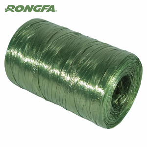 200 Grams Nhựa <span class=keywords><strong>Raffia</strong></span> Chuỗi Thực Vật Ràng Buộc Dây Tie Nhà Máy Cung Cấp Nhựa <span class=keywords><strong>Raffia</strong></span> Chuỗi Đóng Gói Sợi Dây <span class=keywords><strong>Raffia</strong></span> - Product Image 3