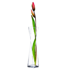 VUT0424 - แจกันแก้วใสทรงบิดเกลียว - 4.7 x 24 - Product Image 3
