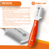 Couteau à démêler Flamia & Jabz pour chien, couteau à carder pour peigne à poils de terrier, peignes en acier inoxydable pour renard, chat, chien, cheval, peigne en bois