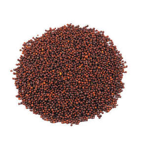 mustard seed whole suppliers