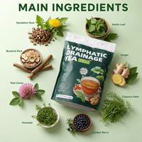 Botanischer Wellness-Unterstützungstee in Beuteln für Internes Gleichgewicht und Vitalität - Pflanzliche Nährstoffinfusion, Vegan, 10 Stück, 50g Beutel