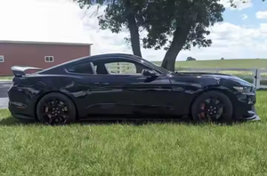 Shelby GT350R Coupé 2024, transmission manuelle, sièges en cuir, toit ouvrant panoramique, pneus R17, jamais accidenté - Product Image 5