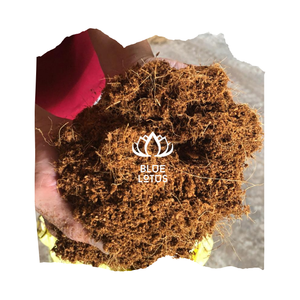 Prix de gros tourbe mousse noix de coco granulés de coco bloc de sol de semis 5kg tourbe de coco du Viet Nam plantes de jardin - Product Image 1