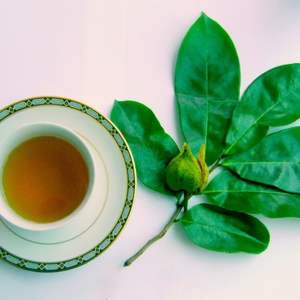 2025 Vietnam Sour Sop seco Graviola hojas producto agrícola de calidad premium en gran oferta con precio competitivo - Product Image 5