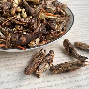 Grillos Secos Premium, Orgánicos, Limpios e Ideales para una Alimentación Saludable y Aumento de Proteínas - Product Image 5