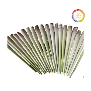 Tige coupée de citronnelle congelée du Vietnam pour la cuisine, le thé et les remèdes naturels - Product Image 3