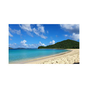 Competitively Priced Beech <b>Logs</b> in Large Quantities for All DIY Woodwork Projects - Product Image 4