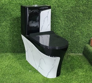 ห้องน้ำเซรามิกยาว WC หนึ่งชิ้นสีทองแบบทันสมัย P-TRAP แบบคู่ล้างด้วยแรงโน้มถ่วงติดตั้งบนพื้น - Product Image 2