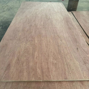 Hojas de contrachapado Premium Bintangor, núcleo de eucalipto de Vietnam para uso interior - Product Image 1