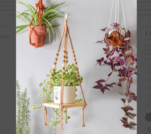 Cintre de plante en macramé de souche en bois, cintre de plante en macramé personnalisé pour la décoration murale et fenêtre - Product Image 2