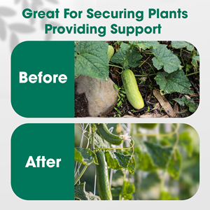 Cuerda de hilo de jardín, Material PP de 2mm para plantas trepadoras verdes, tomates, floristería, artesanía, envoltura de regalo DIY - Product Image 4