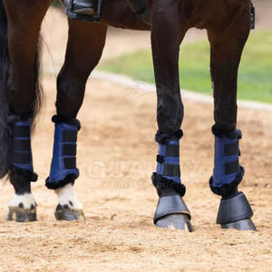 Botas de cepillado de caballos de alta calidad ajustables para seguridad en saltar o montar en Flatwork - Product Image 5