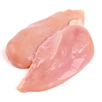 Filet de poitrine de poulet surgelé sans os de qualité supérieure |   Filets de poulet halal de haute qualité, sans graisses trans, en vrac, riches en vitamines, prix compétitifs