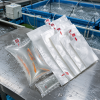 Sac à oxygène gonflable transparent pour le transport de poissons d'aquarium, sac en plastique pour l'expédition de poissons vivants en gros