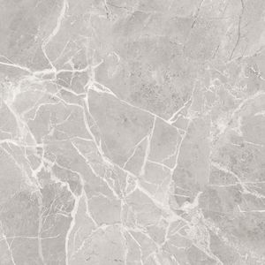 Découvrez des carreaux en porcelaine de qualité supérieure 600x600 mm fabriqués en Inde, designs frais, qualité intemporelle, finition marbre de qualité. - Product Image 4