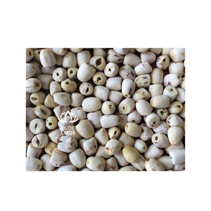 Vente de gros Graines de lotus séchées de haute qualité Graines de lotus sèches à éplucher - Product Image 1