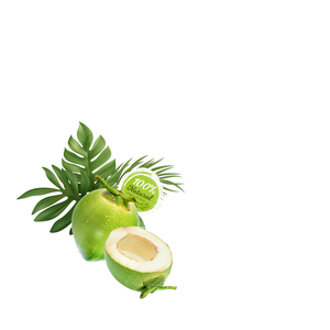 Cadeau de noix de coco vietnamienne fraîche de produit agricole de la nature - Product Image 2