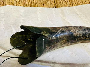 Tradebyd ที่ไม่ซ้ำกันฮอร์นงานฝีมือทำด้วยมือตกแต่งหรูหราเป็นมิตรกับสิ่งแวดล้อมคอลเลกชันของขวัญช่างฝีมือ - Product Image 4