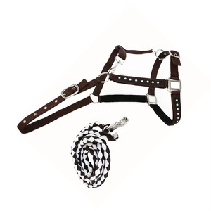 Licol de haute qualité personnalisé pour l'équitation classique, en corde de nylon, différentes couleurs, licol de cheval tendance avec corde - Product Image 5