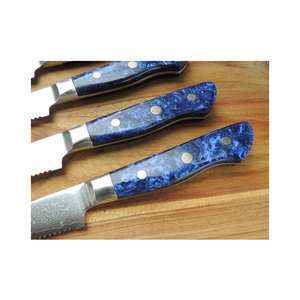 Ensemble de couteaux en acier damas japonais professionnel 6 pièces couteaux de Chef Steak de haute qualité 10Cr couteau en acier damas pour une utilisation en cuisine - Product Image 5