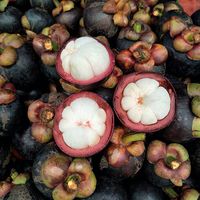 Thailand Beste Biologische Verse Mangosteen, in doos verpakt, natuurlijk zoet en voedzaam, Khey Taladthai Graad A, 8kg, 1-2 weken houdbaarheid