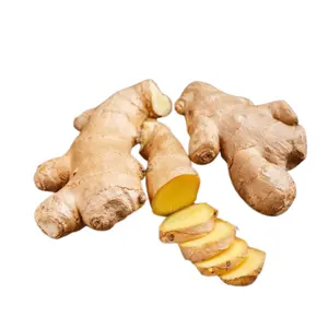 Best selling Fresh Vegetables from Vietnam Washed Ginger Fresh Competitive price for Export