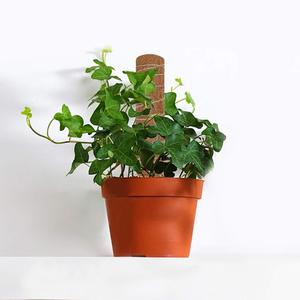 เสาสวนใยมะพร้าวธรรมชาติสำหรับปีนเขาเสาต้นมอส - Product Image 3