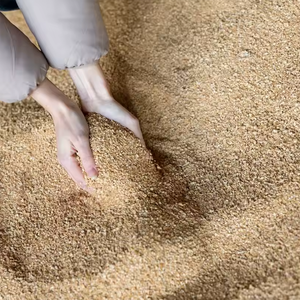 Chất Lượng Cao 48% Protein Động Vật Bữa Ăn Đậu Nành Bữa Ăn Khô Đậu Nành Cho Lợn Cá Gia Cầm Thức Ăn Bán Buôn Giá Cho Nuôi Trồng Thủy Sản - Product Image 2