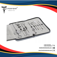 Aiguilles de canules pour tétines en acier inoxydable allemand de qualité supérieure, lot de 10 pièces, étui à fermeture éclair, professionnel, pour bétail, vétérinaire, HÉPATIQUE