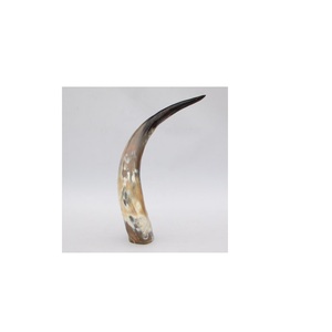 Paire de cornes décoratives de buffles naturels pour hôtels muraux et vaisselle Logo personnalisé Cornes de paires de buffles modernes à vendre - Product Image 5