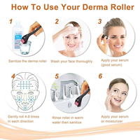 Professionnel Titane 540 Derma Roller Micro Aiguille Dermaroller pour Corps Visage Barbe & Cheveux Beauté & Produit De Soins Personnels