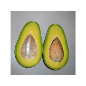 Fruit de Hass vert d'avocat frais tropical du Vietnam avec la texture crémeuse pour le sandwich de Smoothie de salade et les applications de l'industrie alimentaire - Product Image 5